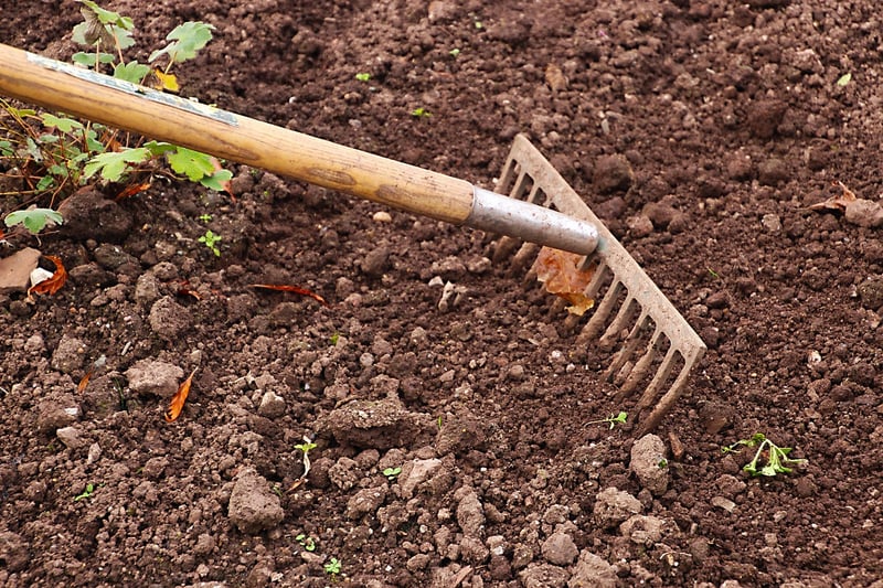 Gardening Soil